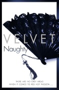 Cover-Bild zum Titel 'Naughty' von 'Velvet'