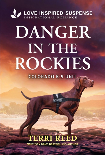 Danger in the Rockies - Terri Reed
