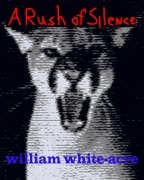 Cover-Bild zum Titel 'A Rush Of Silence' von 'William White-acre'