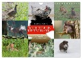 Emotionale Momente: Wilde Tiere in Deutschland (Wandkalender 2024 DIN A4 quer), CALVENDO Monatskalender - Ingo Gerlach GDT