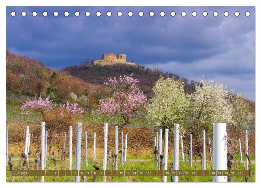 InsideView 12