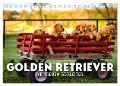 Golden Retriever - Die treuen Begleiter. (Tischkalender 2024 DIN A5 quer), CALVENDO Monatskalender - Sf Sf