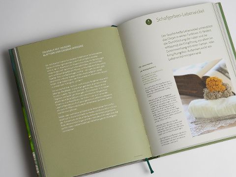 InsideView 10