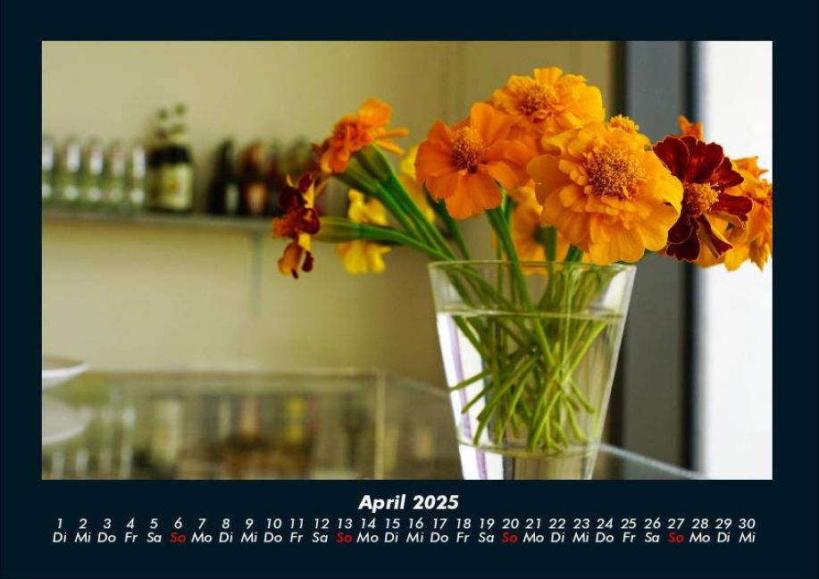 InsideView 8