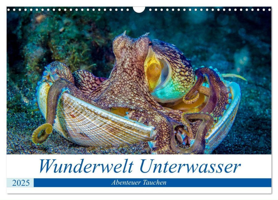 Wunderwelt Unterwasser (Wandkalender 2025 DIN A3 quer), CALVENDO Monatskalender - Dieter Gödecke