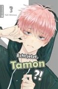 Cover-Bild zum Titel 'Echt jetzt, Tamon? 03' von 'Yuki Shiwasu'