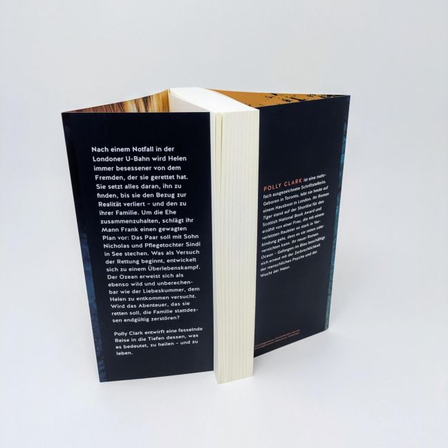 InsideView 4
