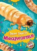Mealworms - Kari Schuetz
