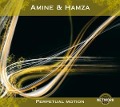 Cover-Bild zum Titel 'Perpetual Motion' von 'Amine & Hamza'