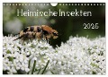 Heimische Insekten 2025 (Wandkalender 2025 DIN A4 quer), CALVENDO Monatskalender - Silvia Hahnefeld