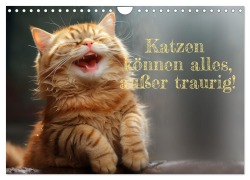 Katzen können alles, außer traurig. (Wandkalender 2026 DIN A4 quer), CALVENDO Monatskalender - Ki Rolf Skrypzak