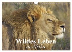 Wildes Leben in Afrika (Wandkalender 2026 DIN A4 quer), CALVENDO Monatskalender - Elisabeth Stanzer