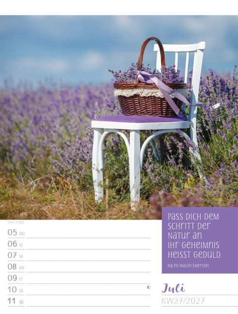 InsideView 31