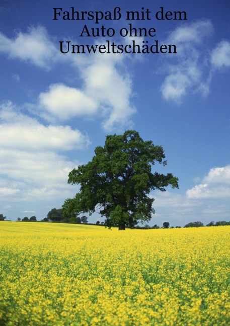 Fahrspaß mit dem Auto ohne Umweltschäden - Siegfried Schwarz