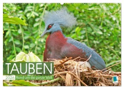 Cover-Bild zum Titel 'Tauben rund um die ganze Welt (Wandkalender 2026 DIN A2 quer), CALVENDO Monatskalender' von 'Calvendo Calvendo'