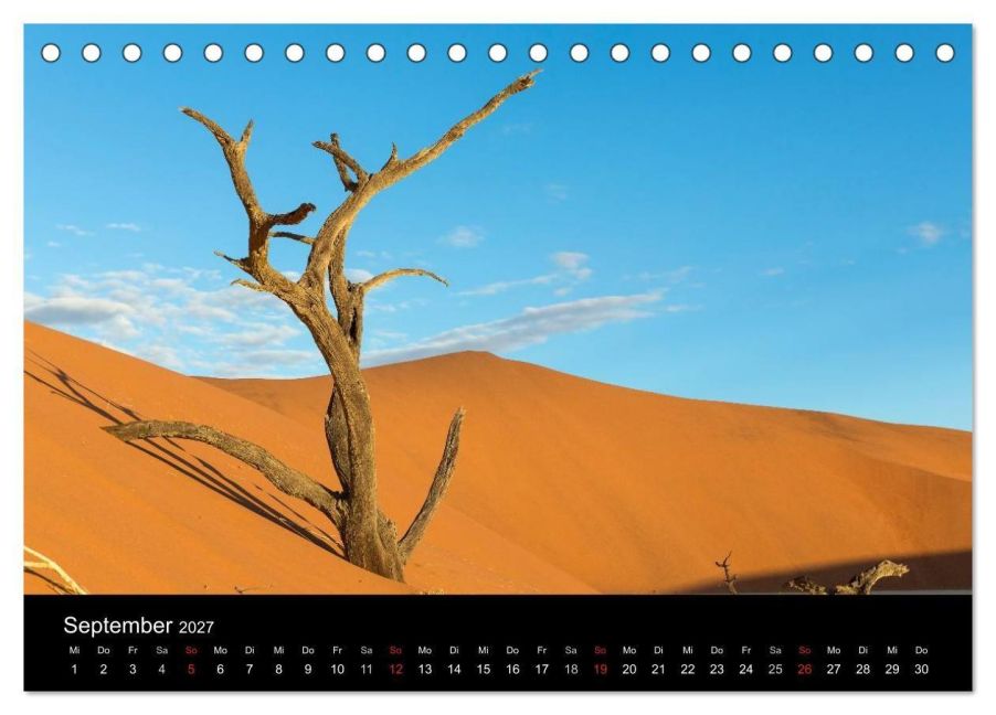 InsideView 14