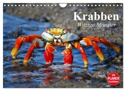 Cover-Bild zum Titel 'Krabben. Witzige Monster (Wandkalender 2026 DIN A4 quer), CALVENDO Monatskalender' von 'Elisabeth Stanzer'