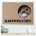 Karton Katzen (hochwertiger Premium Wandkalender 2025 DIN A2 quer), Kunstdruck in Hochglanz - Thorsten Nilson