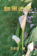Cover-Bild zum Titel 'Misty Drizzle' von 'Charles Y. Wang, ¿¿¿'