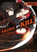 Cover-Bild zum Titel 'Akame ga KILL! 13' von 'Takahiro, Tetsuya Tashiro'