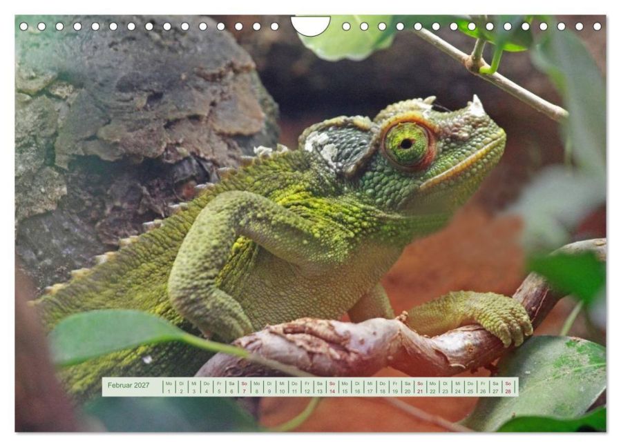InsideView 7