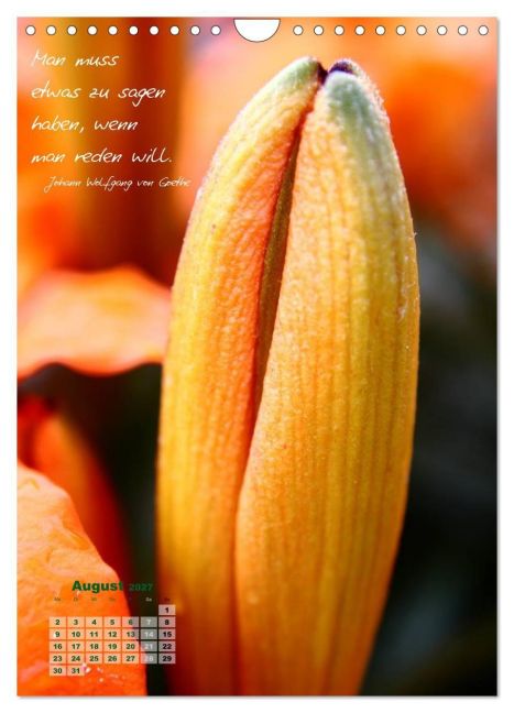 InsideView 13