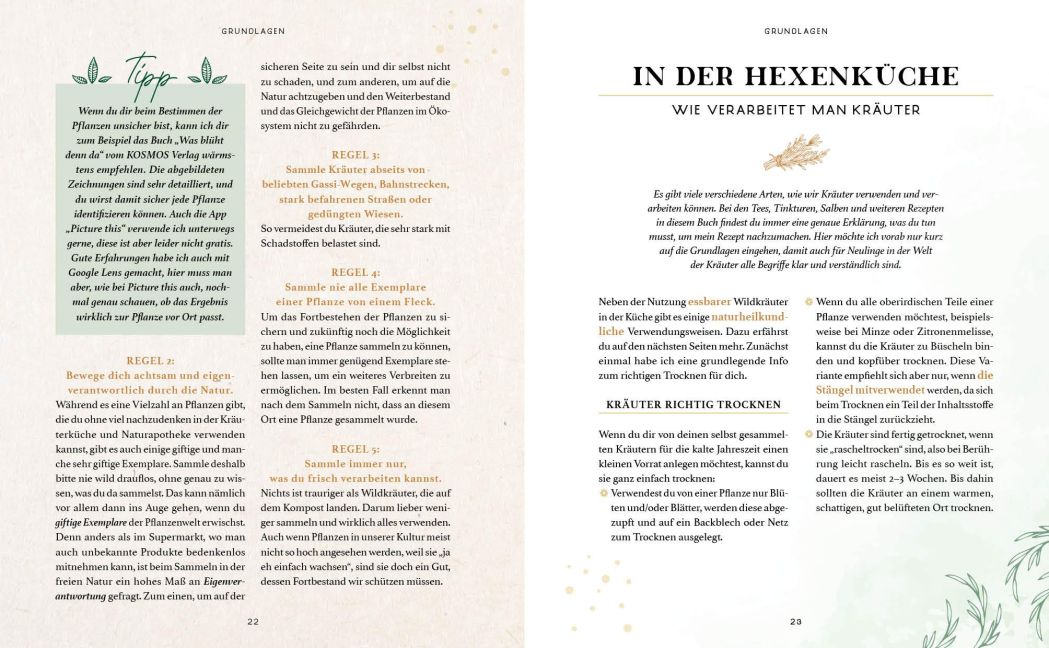 InsideView 8