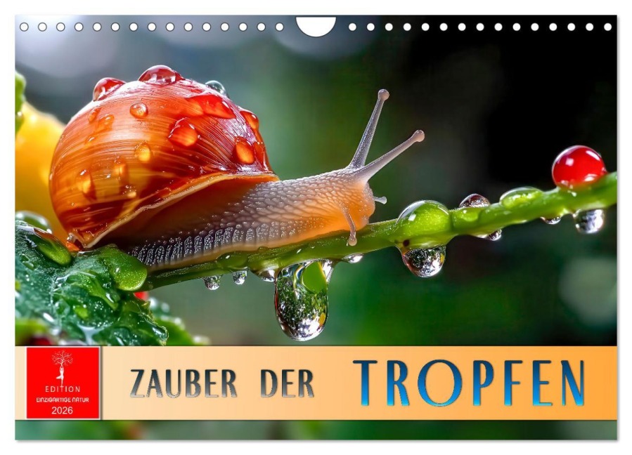 Zauber der Tropfen (Wandkalender 2026 DIN A4 quer), CALVENDO Monatskalender - Peter Roder