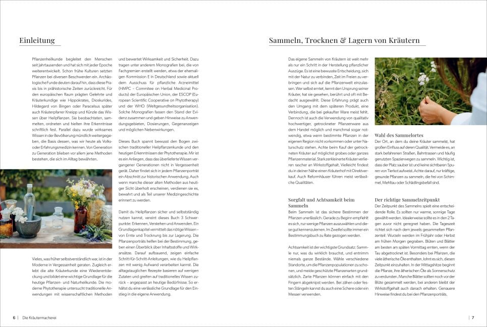 InsideView 1