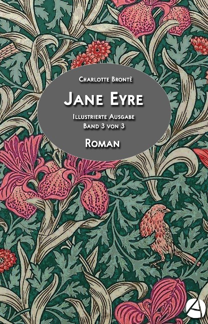 Jane Eyre. Band 3 von 3 - Charlotte Brontë