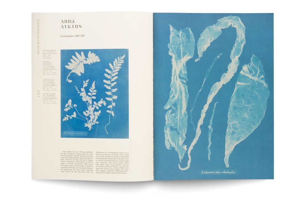 InsideView 19
