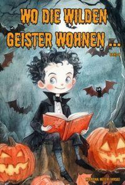 Wo die wilden Geister wohnen ... Schaurig-schöne Gruselgeschichten für Kinder - Band 8 - 