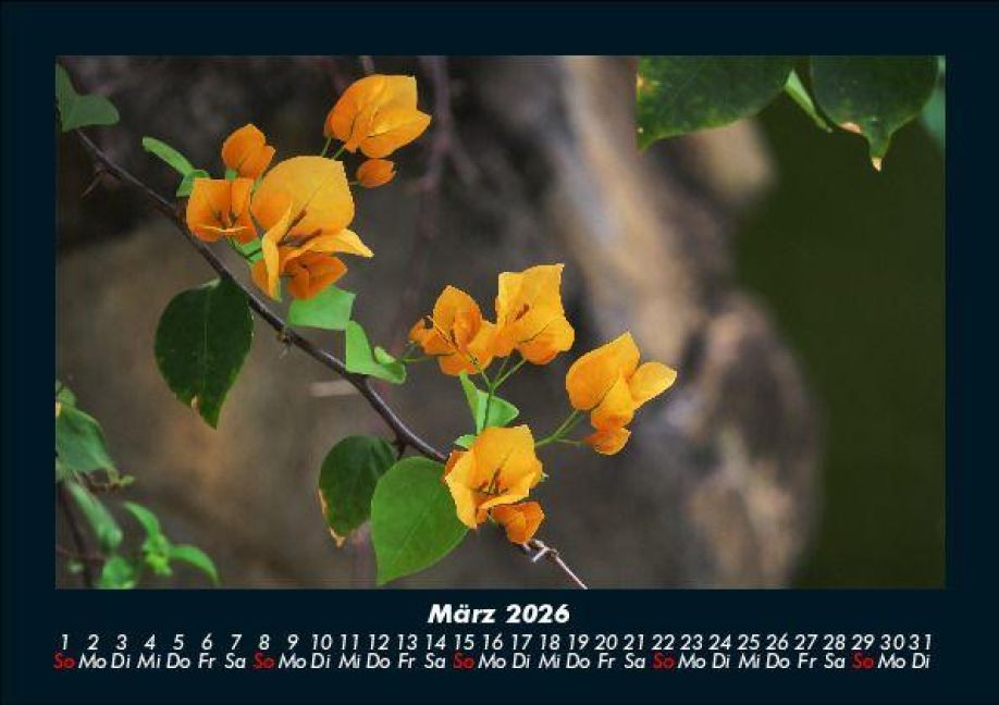 InsideView 7