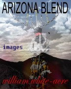 Cover-Bild zum Titel 'Arizona Blend' von 'William White-acre'