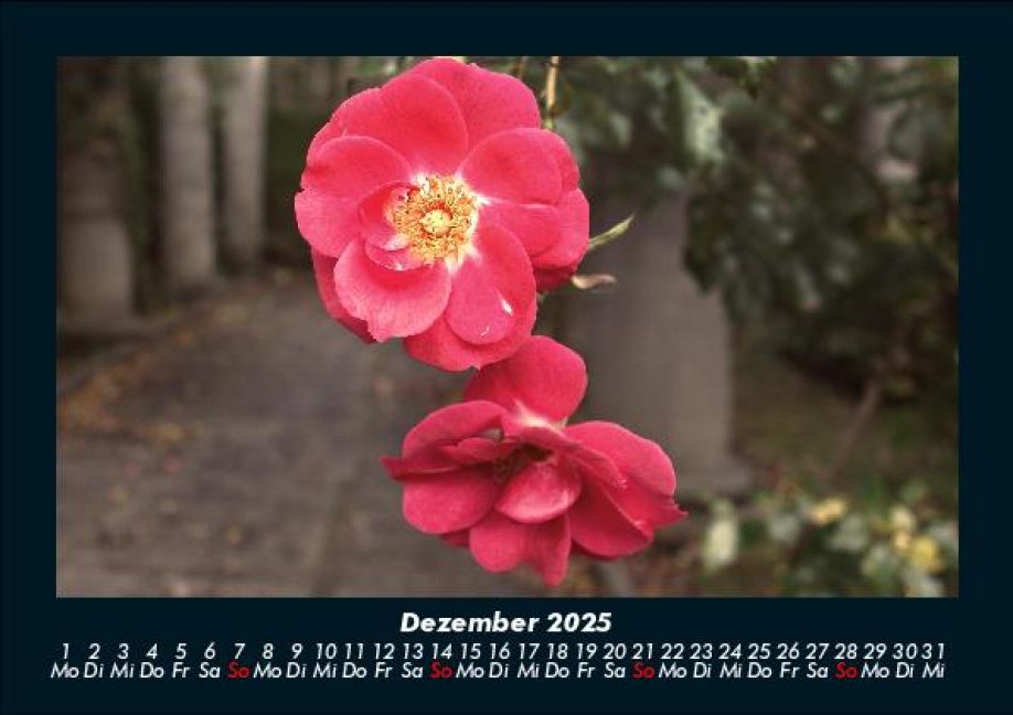 InsideView 4
