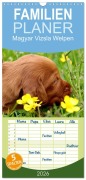 Cover-Bild zum Titel 'Familienplaner 2026 - Magyar Vizsla Welpen mit 5 Spalten (Wandkalender, 21 x 45 cm) CALVENDO' von 'Kerstin Grüttner'