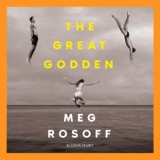 Cover-Bild zum Titel 'The Great Godden' von 'Meg Rosoff'