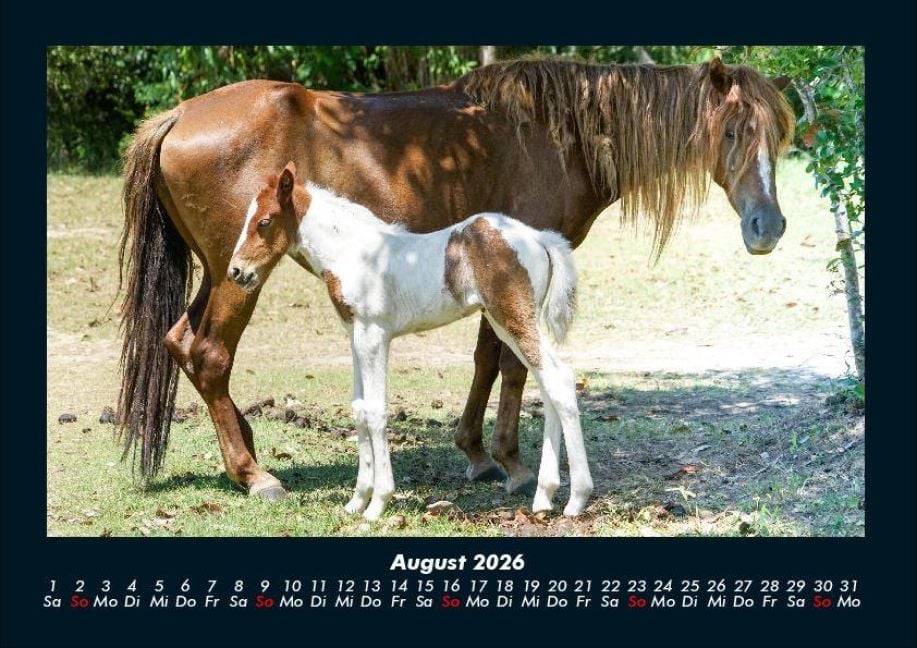 InsideView 12