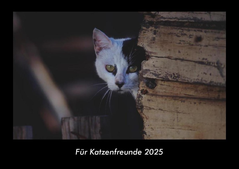 Für Katzenfreunde 2025 Fotokalender DIN A3 - Tobias Becker
