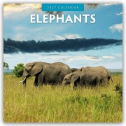 Cover-Bild zum Titel 'Elephants - Elefanten 2027 - 16-Monatskalender' von 'Robin Red'
