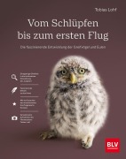 Cover-Bild zum Titel 'Vom Schlüpfen bis zum ersten Flug' von 'Tobias Lohf'