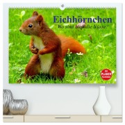 Cover-Bild zum Titel 'Eichhörnchen. Wo sind bloß die Nüsse? (hochwertiger Premium Wandkalender 2026 DIN A2 quer), Kunstdruck in Hochglanz' von 'Elisabeth Stanzer'