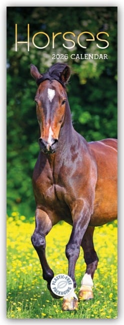 Horses - Pferde 2026 - Slimline-Kalender - Carousel Calendar
