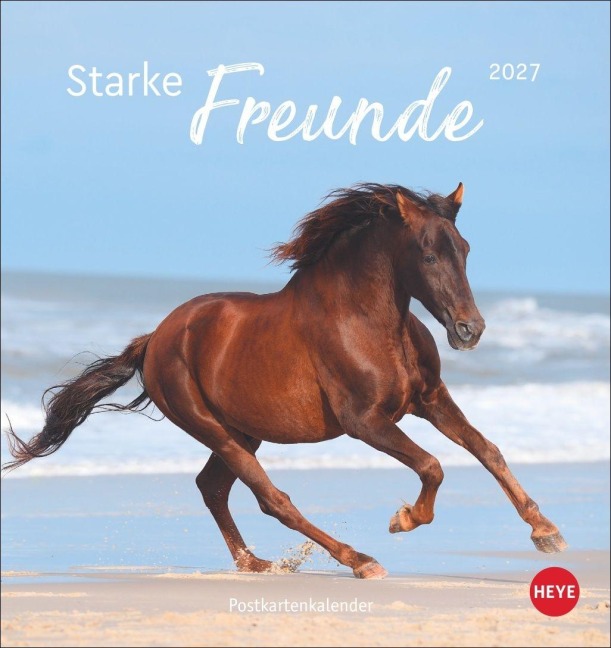 Pferde Postkartenkalender 2027 - Starke Freunde - 