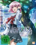 Cover-Bild zum Titel 'Norn9' von ''