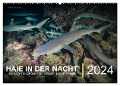 Haie in der Nacht (Wandkalender 2024 DIN A2 quer), CALVENDO Monatskalender - Christian Hubo - feel4nature