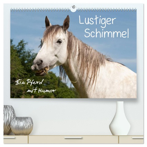 Lustiger Schimmel - ein Pferd mit Humor (hochwertiger Premium Wandkalender 2025 DIN A2 quer), Kunstdruck in Hochglanz - Meike Bölts