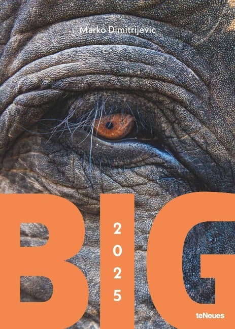 teNeues - Big 2025 Wandkalender, 50x70cm, Kalender mit den Giganten der Tierwelt, faszinierende und respekteinflößende Tiere, die zum Staunen verleiten, Bewunderung und Faszination, mit Spiralbindung - 