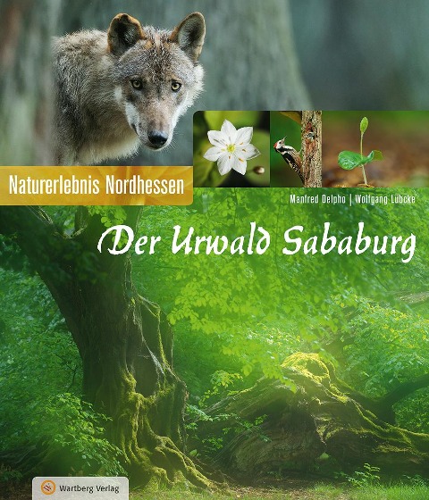 Der Urwald Sababurg