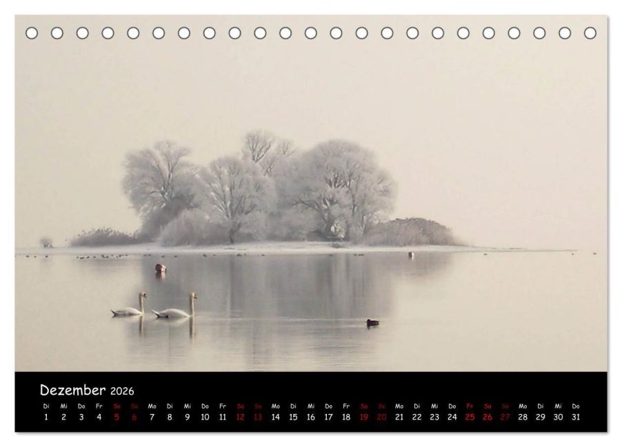 InsideView 4